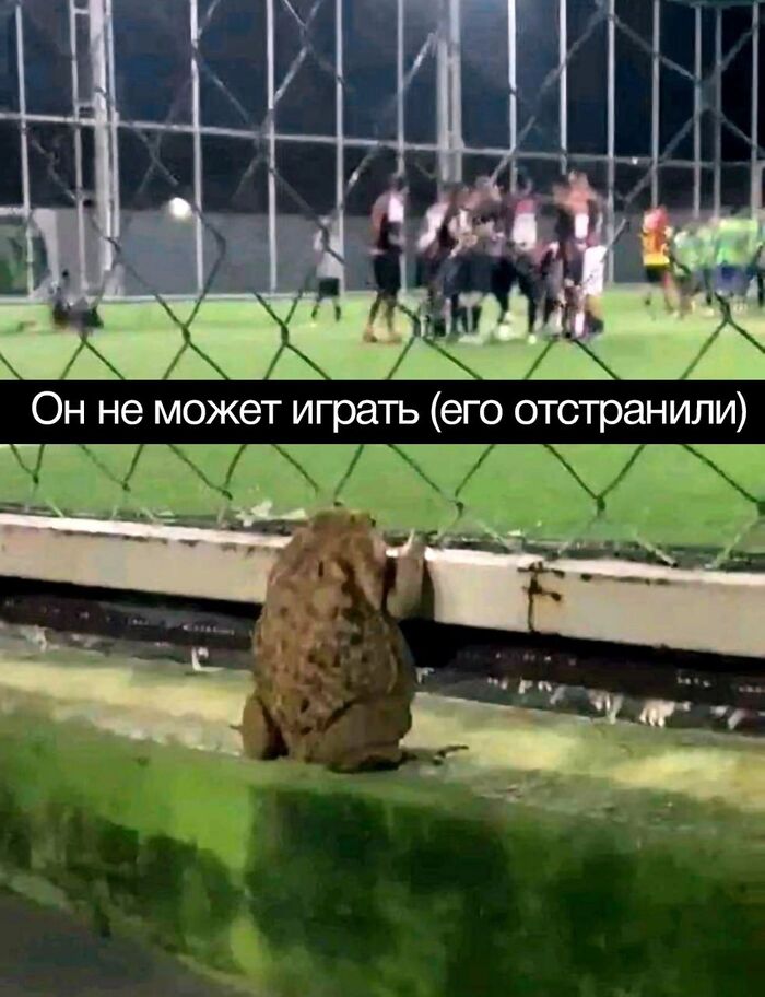 Грустная среда