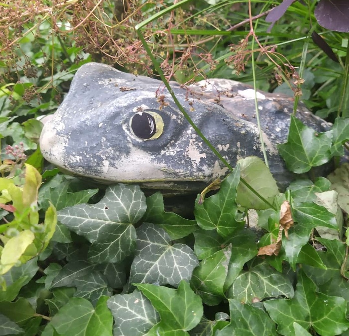 Успешной среды, мои чуваки!