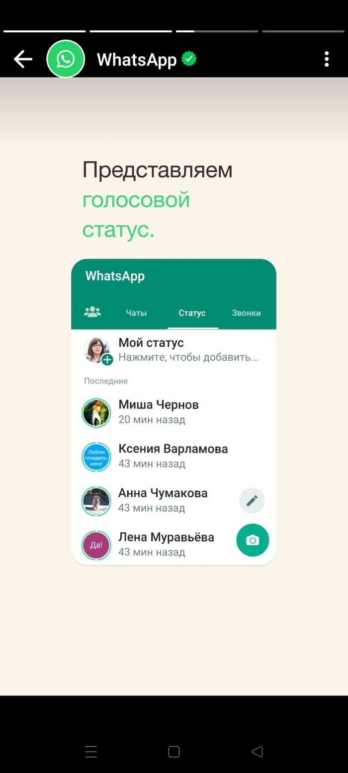 Группа WhatsApp: истории из жизни, советы, новости, юмор и картинки —  Горячее, страница 49 | Пикабу