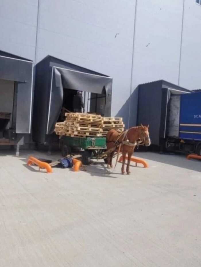        , , , 