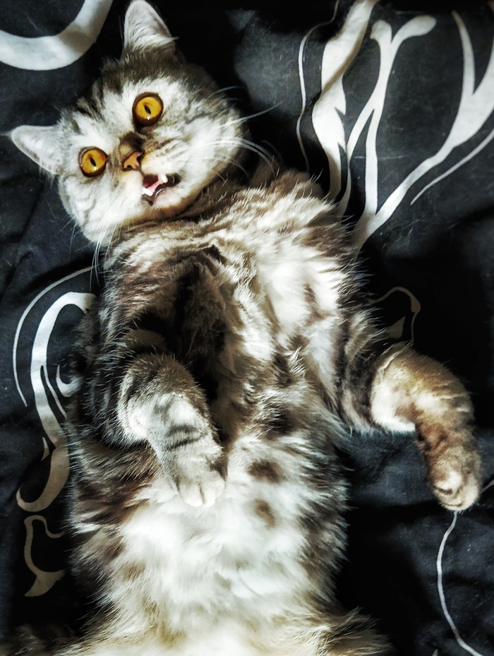 Поймал момент перевоплощения в ночной режим