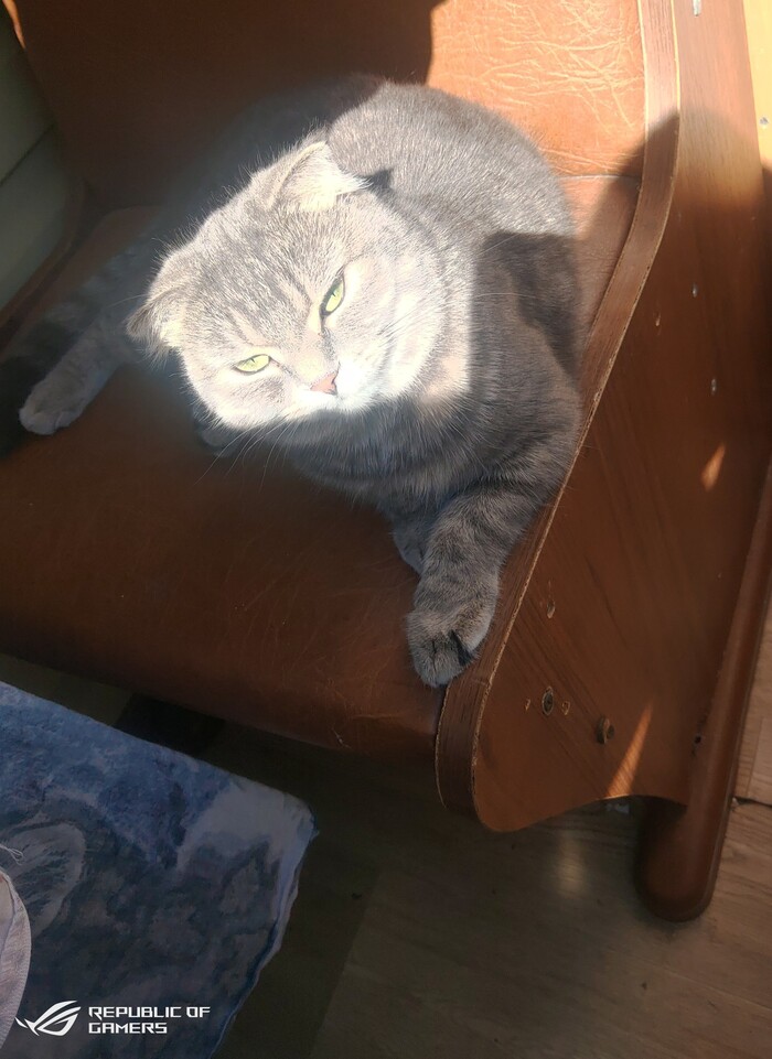 Солнечные ванны