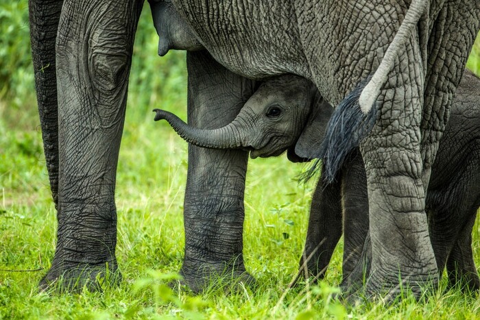 В безопасности