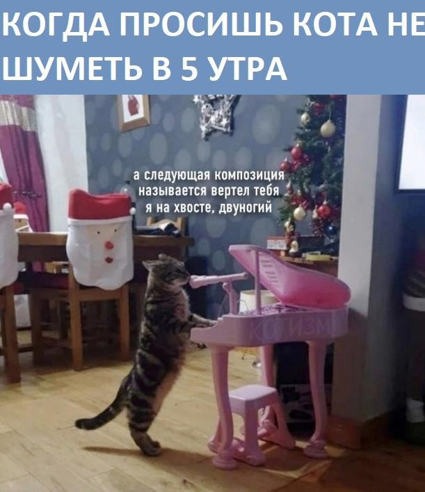      ..)   , , 