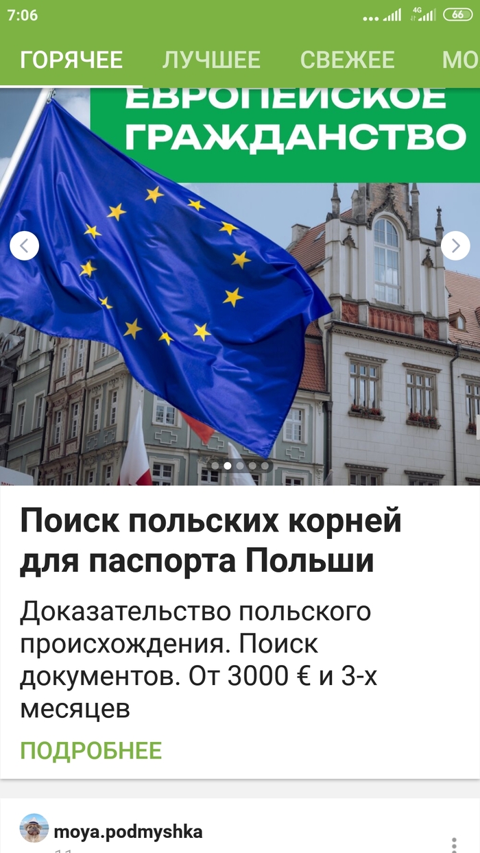 Польские корни,курва | Пикабу