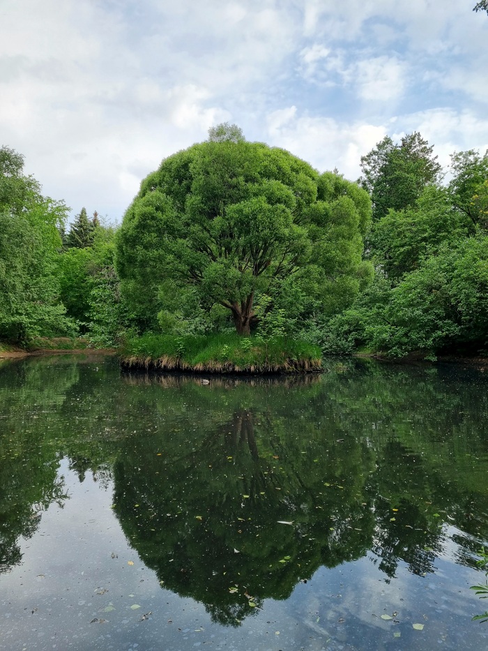 Безмятежность