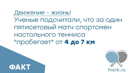 Факты о настольном теннисе