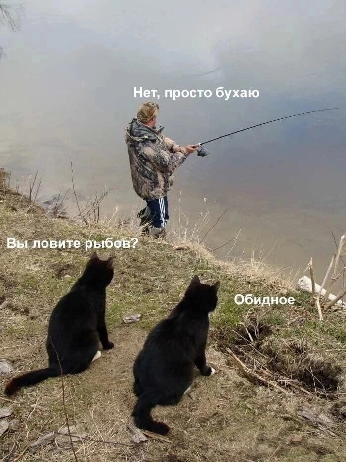  , , ,   