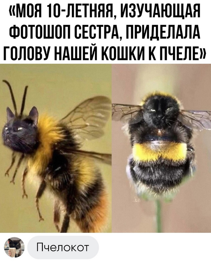  ,   , , , Photoshop, , 