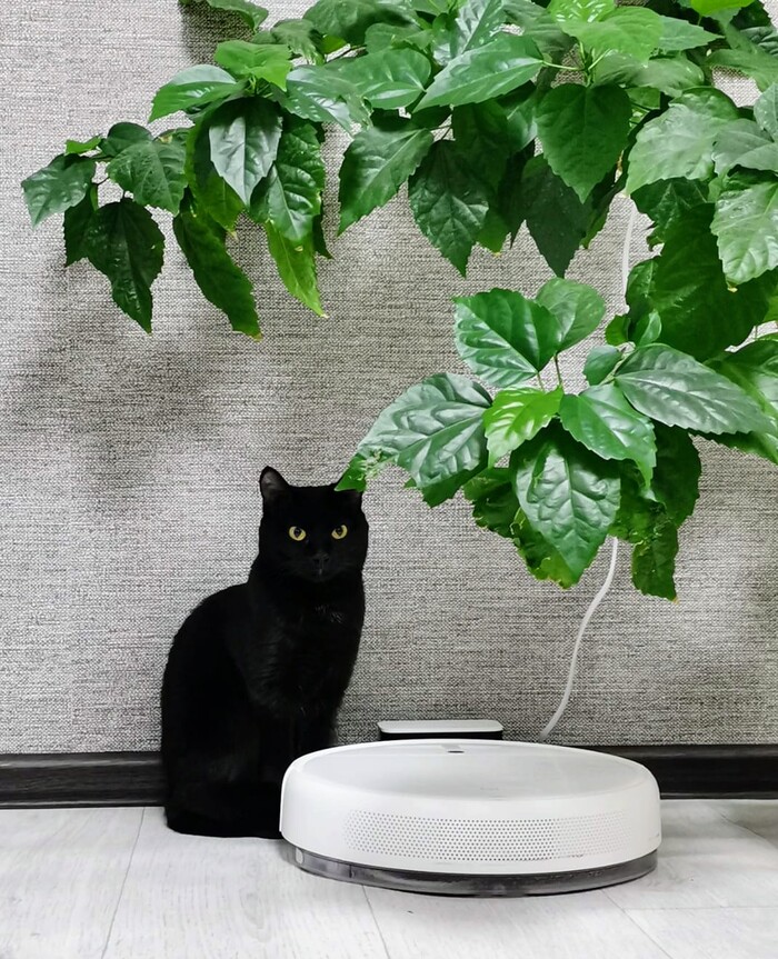 �� ������ �������