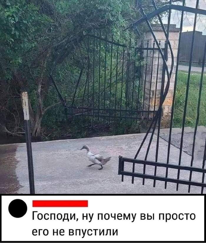    ,   , , , , 