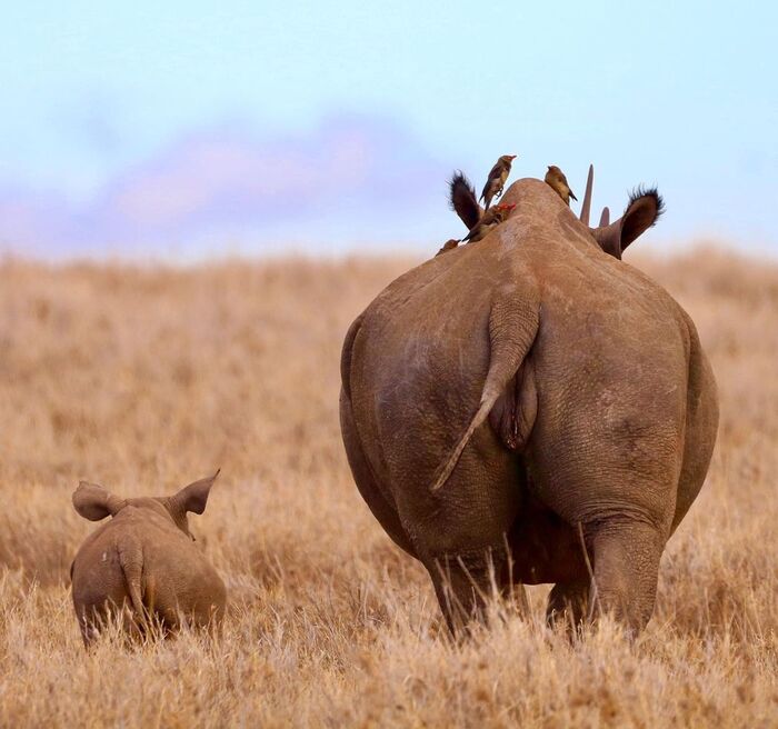 �� ��������!