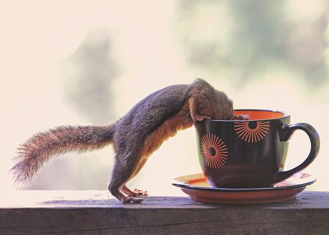 Ммммм, кофе!