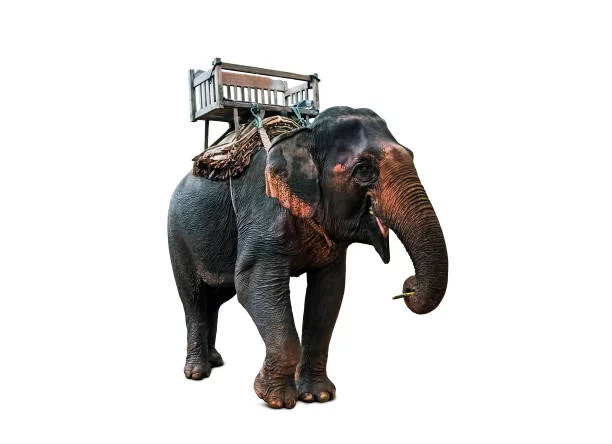 Что это за штука - 181 Reddit, Перевел сам, WhatIsThisThing, Видео, YouTube, Длиннопост Что это за штука - 181 Reddit, Перевел сам, WhatIsThisThing, Видео, YouTube, Длиннопост