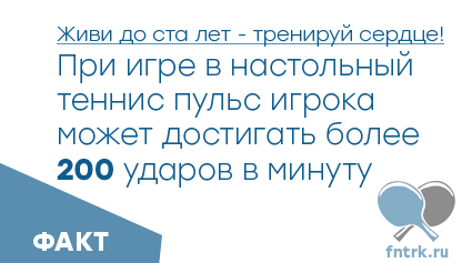 Факты о настольном теннисе: держи руку на пульсе