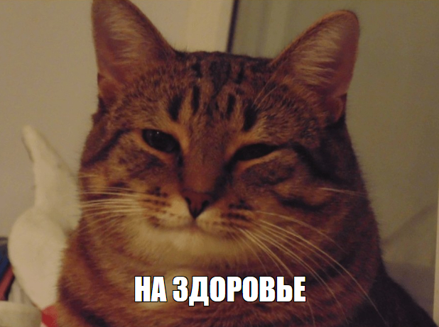   3D    3D , , 3D , Dungeons & Dragons,   