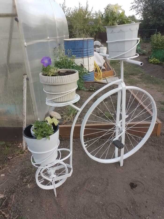   ,  , ,  , ,   