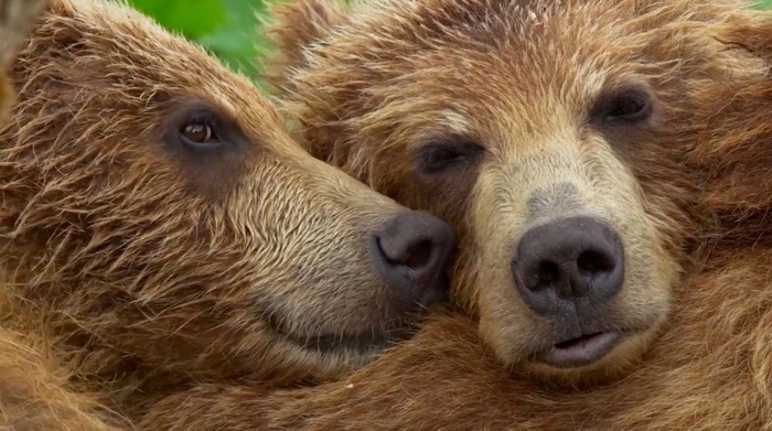 Мааань. Кажется, нас снимают