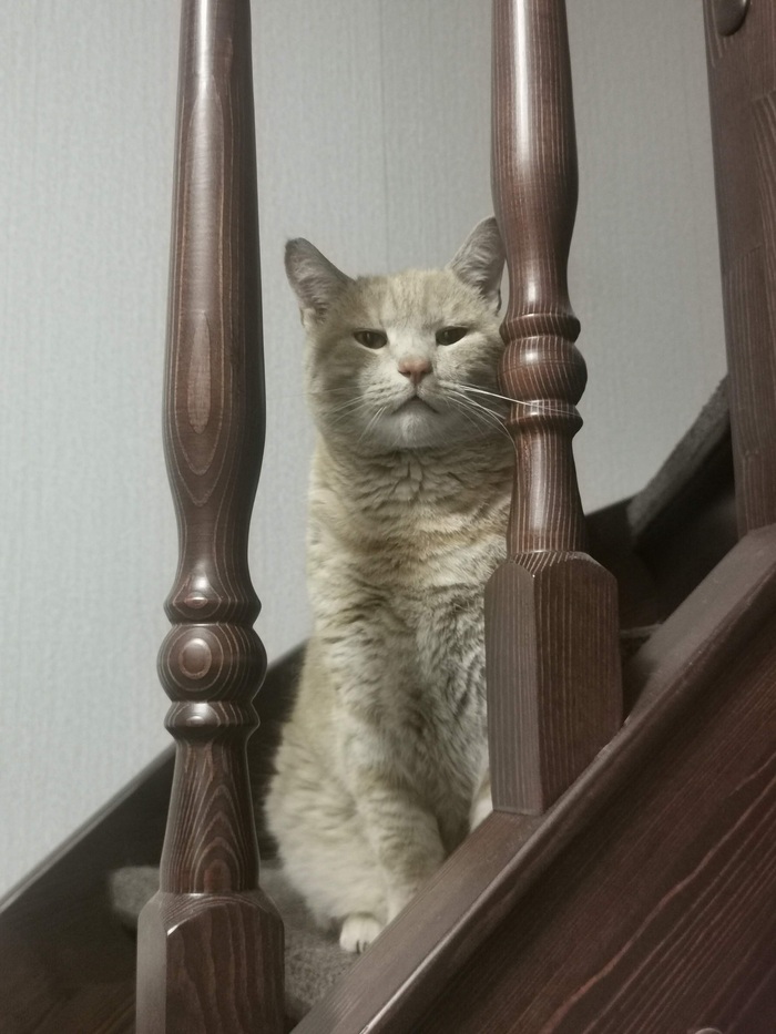 ����� �� ���� ����-����������