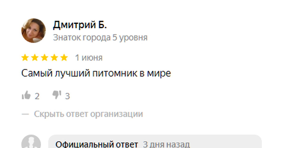 Как оставить отзыв Яндекс.Картам? | Пикабу