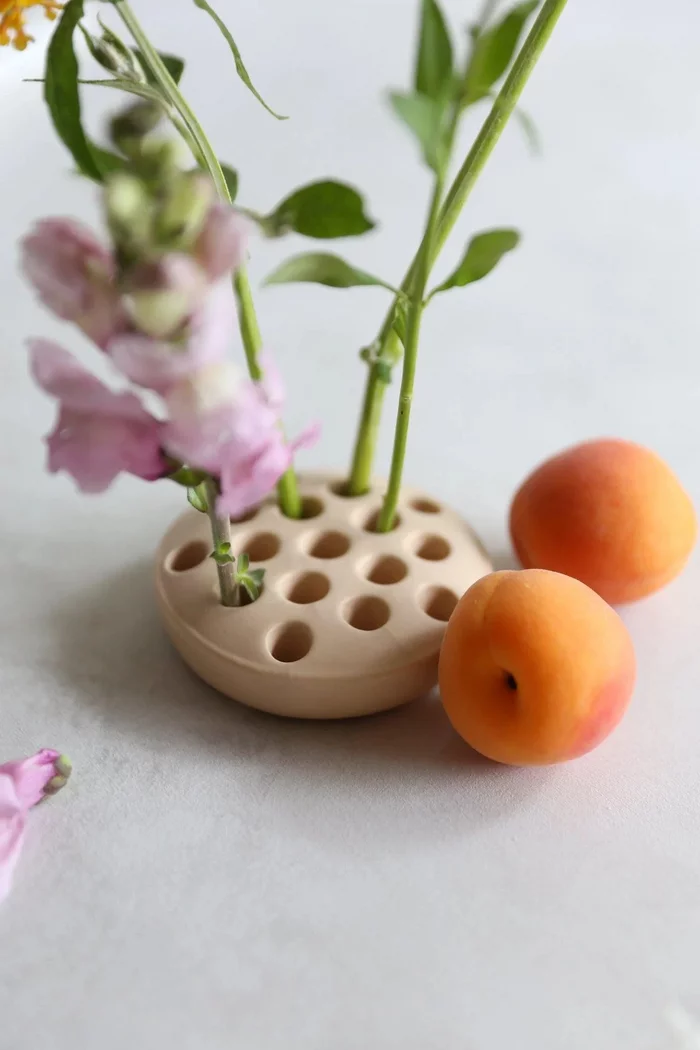 Что это за штука - 181.5 Reddit, Перевел сам, Жаба, Лягушки, WhatIsThisThing, Длиннопост, It Is Wednesday My Dudes Что это за штука - 181.5 Reddit, Перевел сам, Жаба, Лягушки, WhatIsThisThing, Длиннопост, It Is Wednesday My Dudes