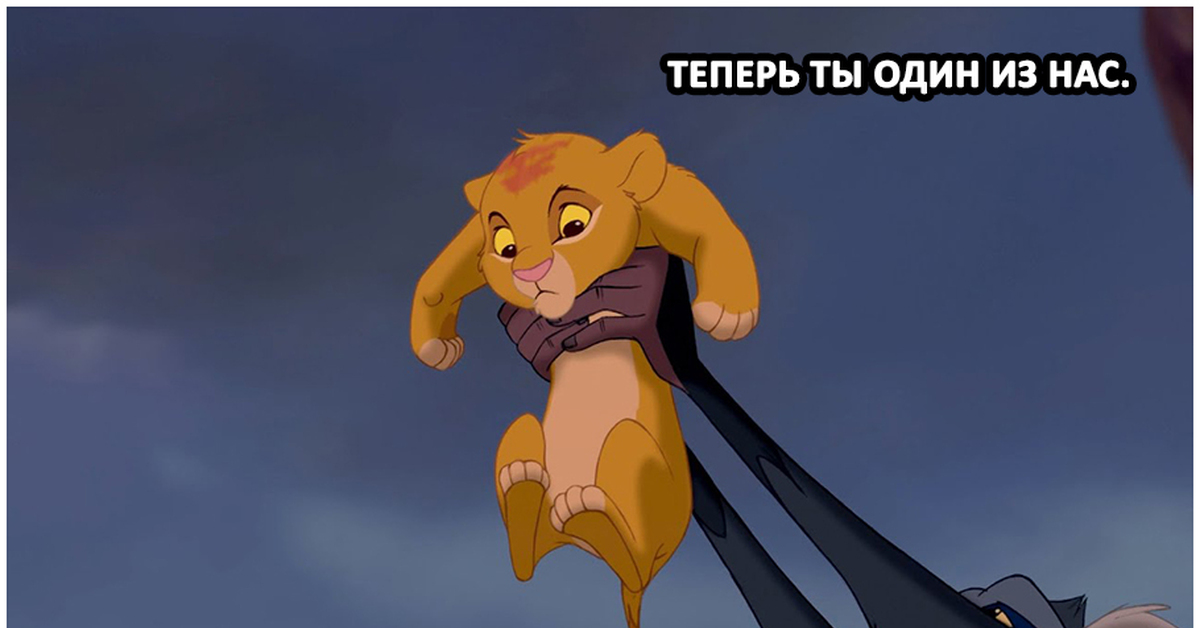 Симба | Пикабу