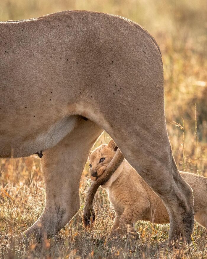 Чтобы не потеряться
