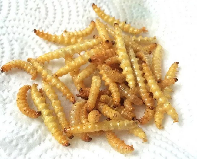 Вкусные тайские насекомые Таиланд, Жизнь за границей, Тайская кухня, Насекомые, Записки иммигранта, Юго-восточная Азия, Длиннопост Вкусные тайские насекомые Таиланд, Жизнь за границей, Тайская кухня, Насекомые, Записки иммигранта, Юго-восточная Азия, Длиннопост