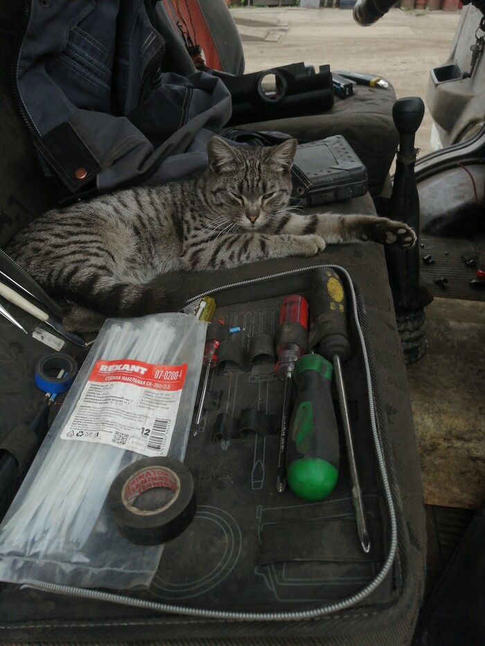 Помощник | Пикабу