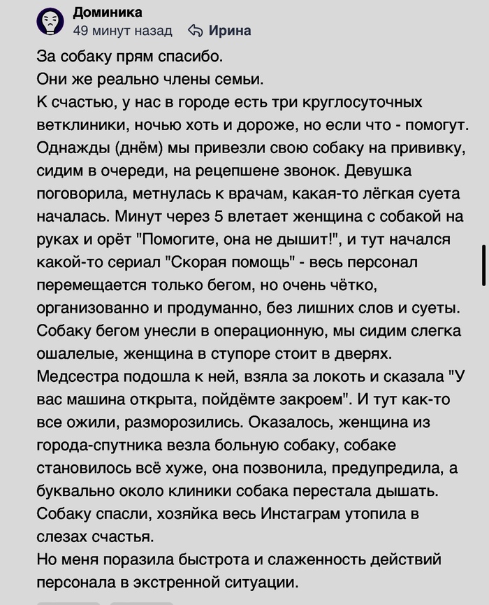 Спасибо ветеринарам