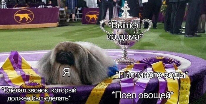 Мои достижения