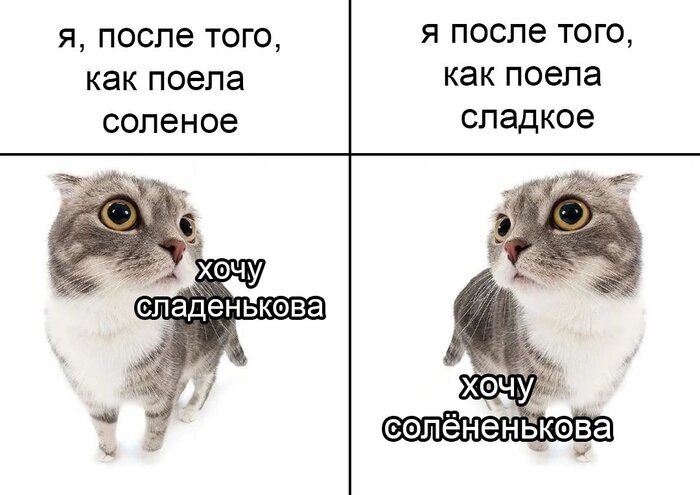     ,   , , , , , 