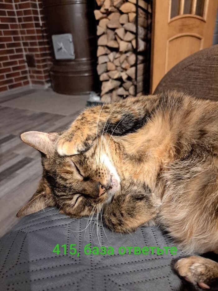 ����� ������ ����