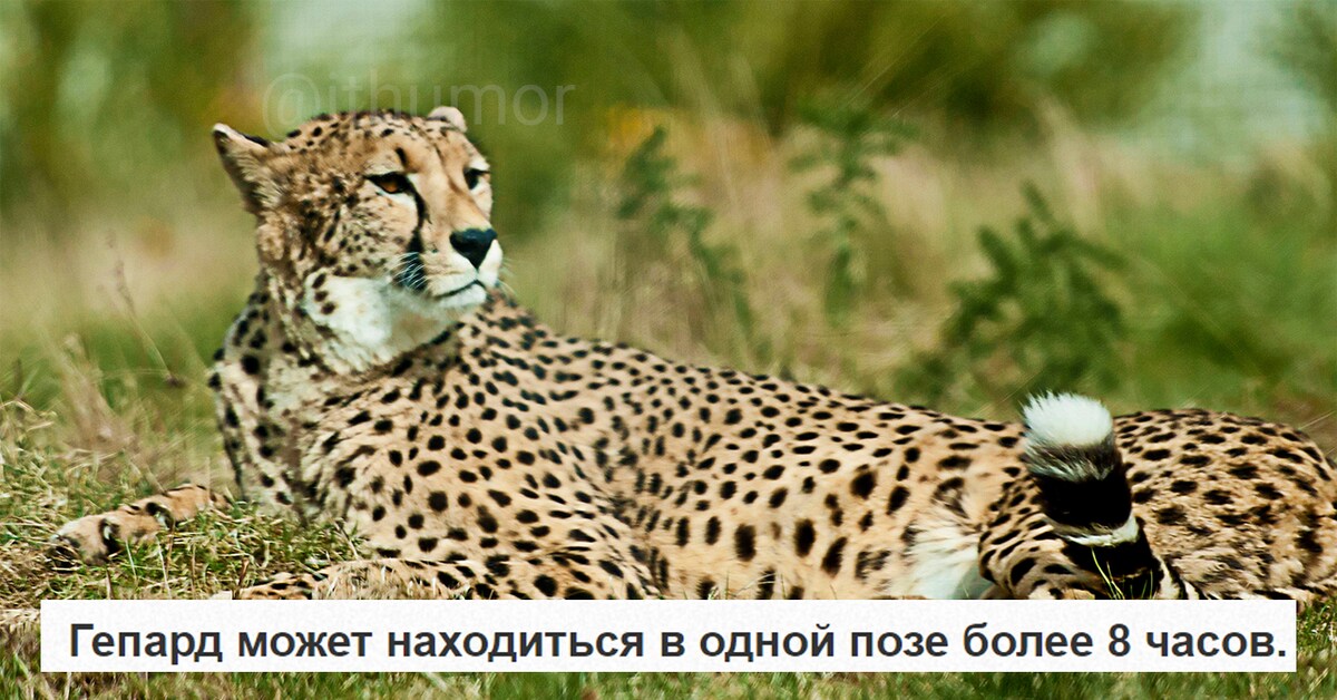 Да можно и дольше, сколиоз не дать соврать | Пикабу