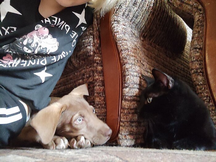 ПОГОВОРИМ ?!