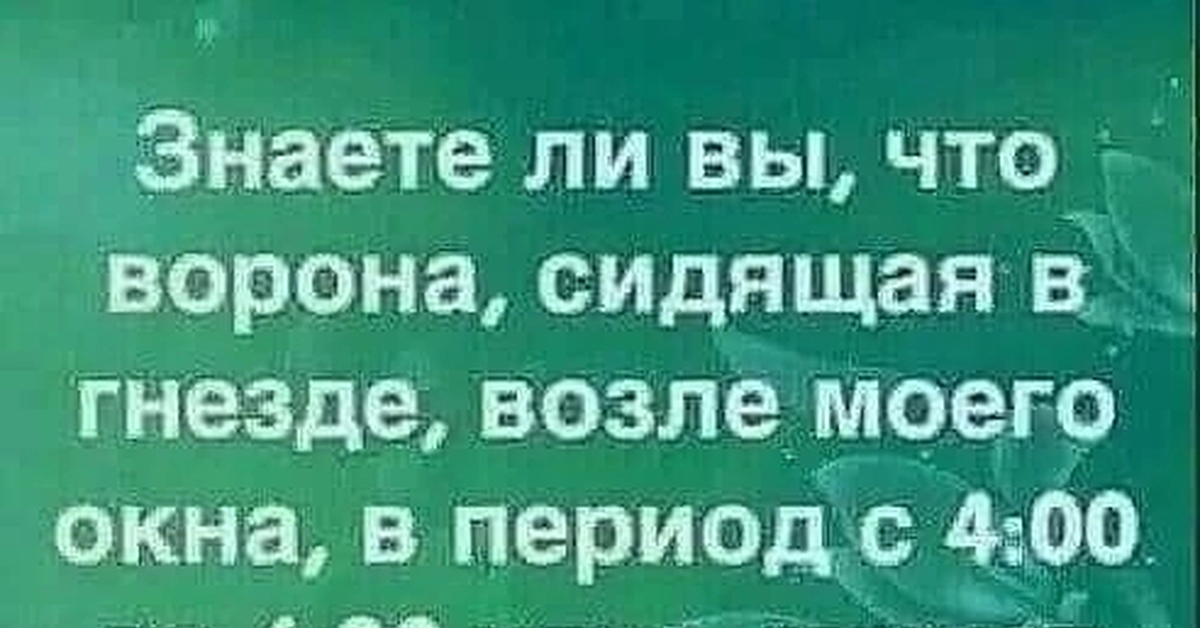Пунктуальная ворона | Пикабу