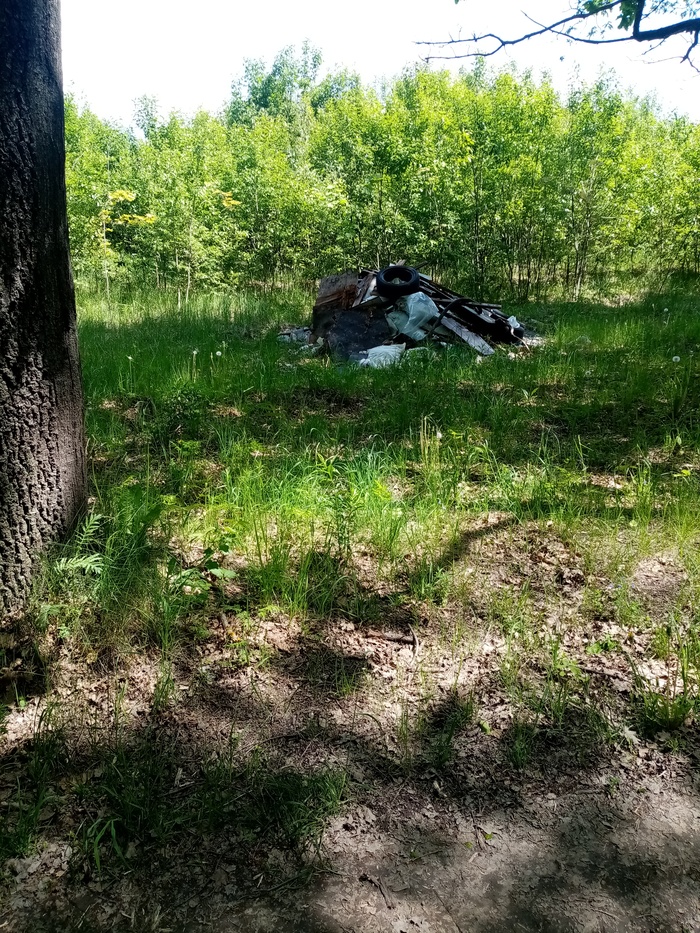 Уборка мусора.Спасибо) | Пикабу