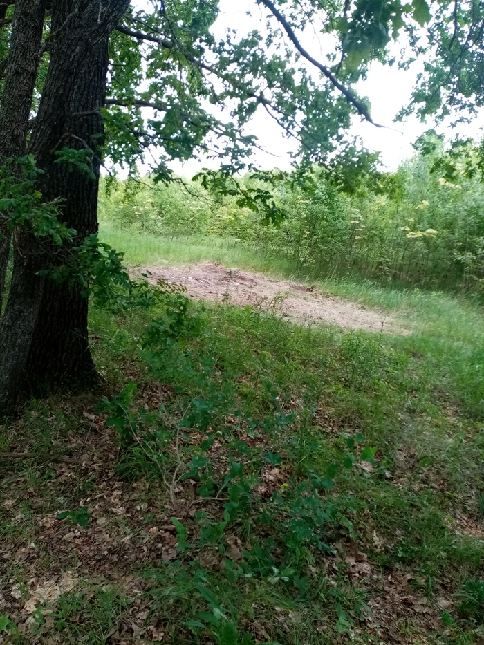 Уборка мусора.Спасибо) | Пикабу