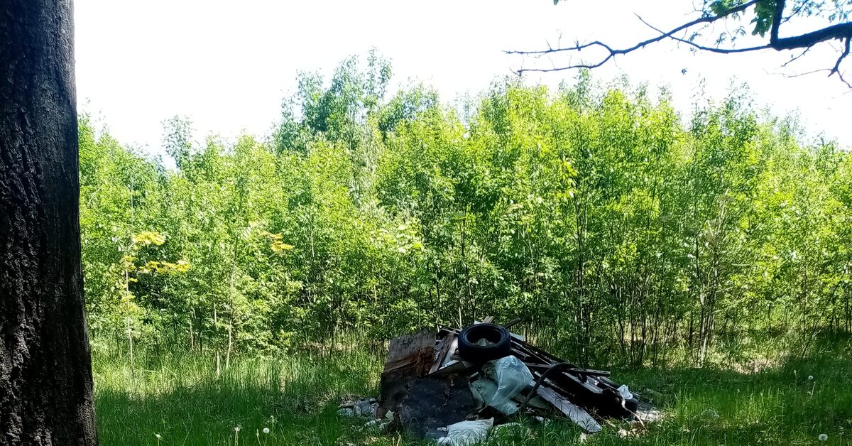 Уборка мусора.Спасибо) | Пикабу