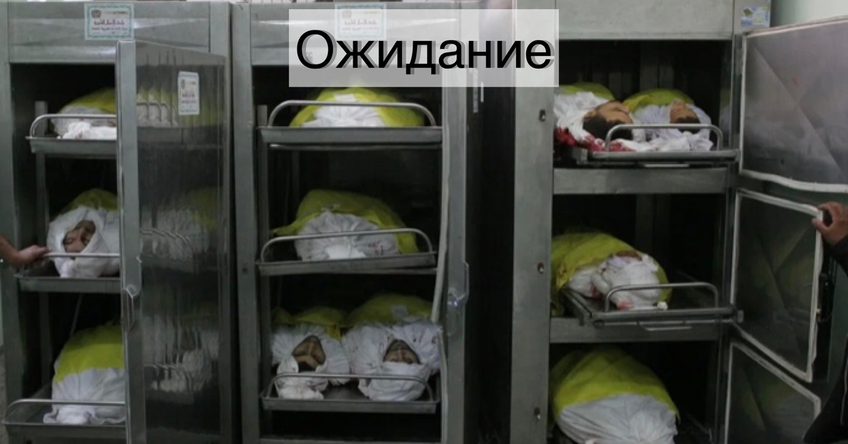 Холодильник в морге | Пикабу