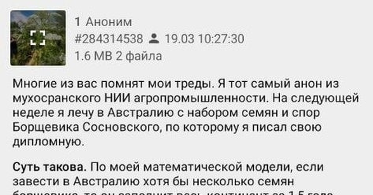 Как завоевать мир не привлекая внимания санитаров картинка