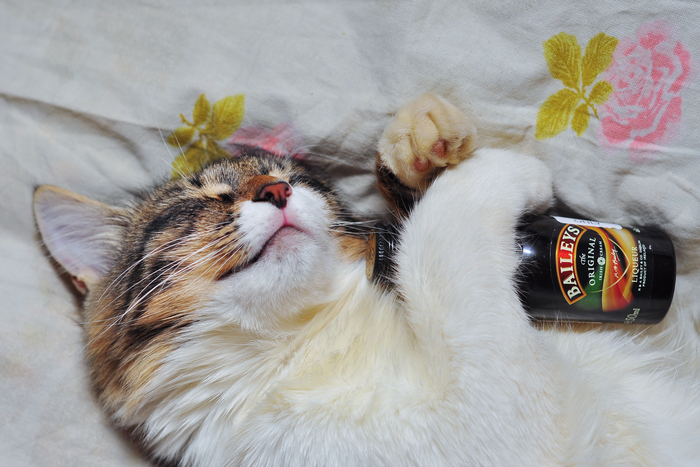 �� ���� ������� ���� �����?