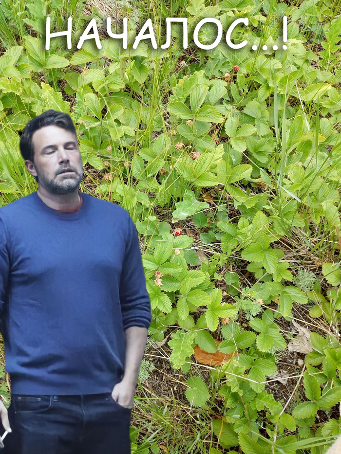 ������� �� ������...�����! (����: �������� �� �����, ��� � ����)