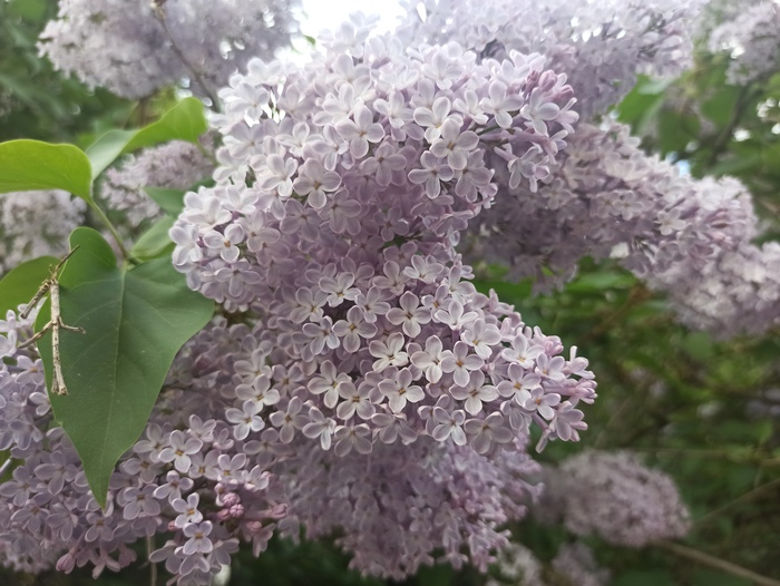 ���� ��?