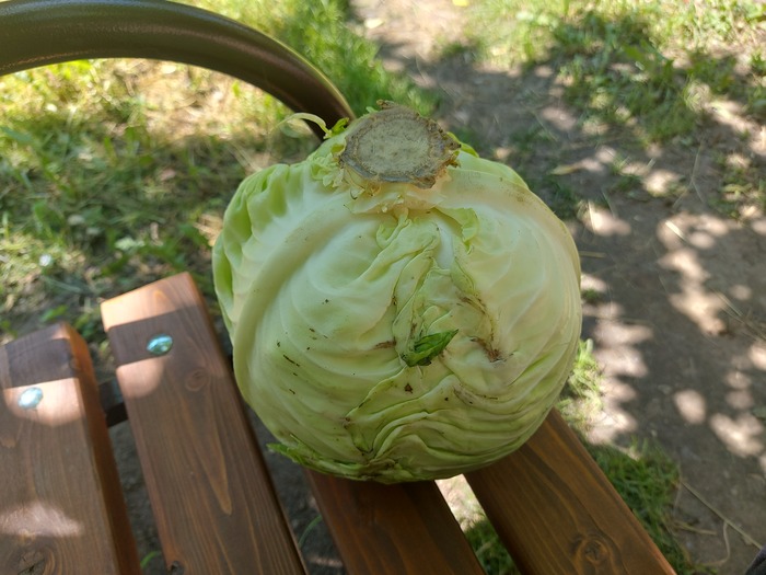 Чините ленту уже