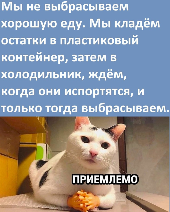 Просто еду жалко выбрасывать, а когда она уже испортилась - не жалко)
