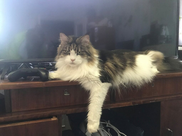  LeoSultanov      ?    6 