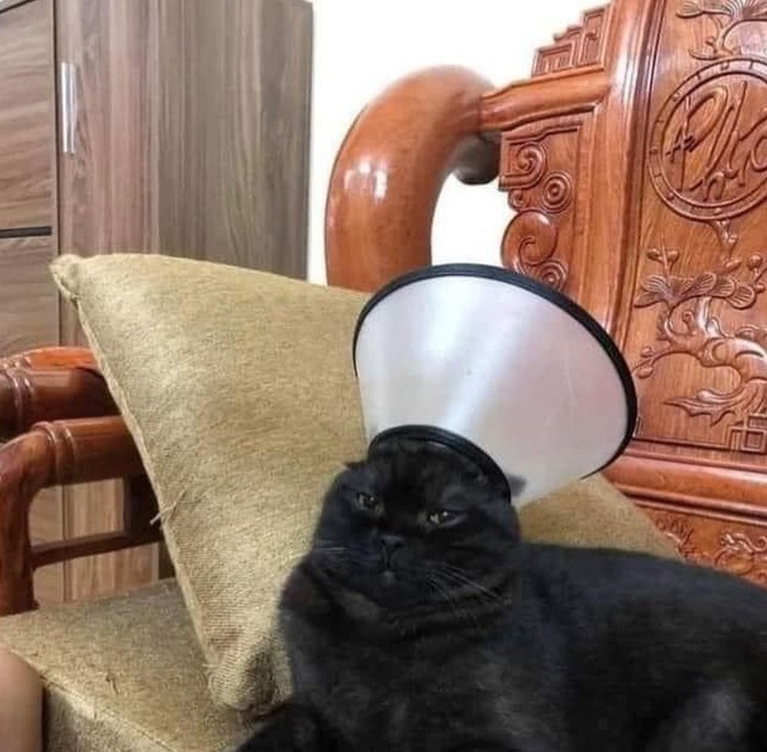   !  , , , ,  ,  