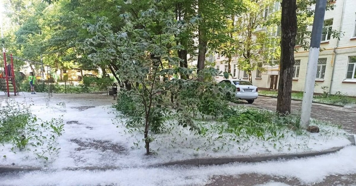 Пух в москве