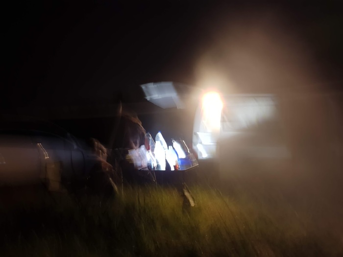 ������ ���� ���������